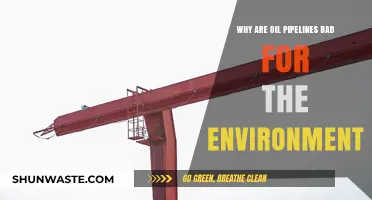 Oil Pipelines: Environmental Hazards and Their Devastating Ecological Impact