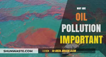 Understanding the Devastating Impact of Oil Pollution on Our Planet