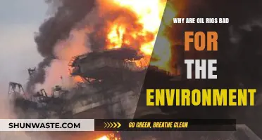 Oil Rigs' Environmental Impact: Pollution, Wildlife Threats, and Ecosystem Destruction