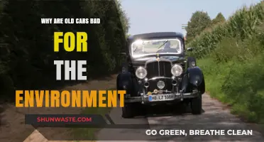 Old Cars' Environmental Impact: Pollution, Inefficiency, and Sustainability Concerns