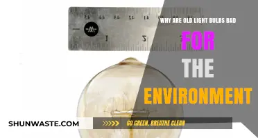 Old Light Bulbs: Environmental Hazards and Energy-Efficient Alternatives
