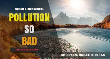 Global Pollution Crisis: Why Some Countries Struggle to Clean Up