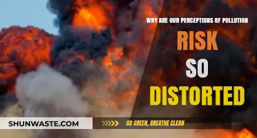 Distorted Pollution Perceptions: Unraveling the Misconceptions Behind Risk Awareness