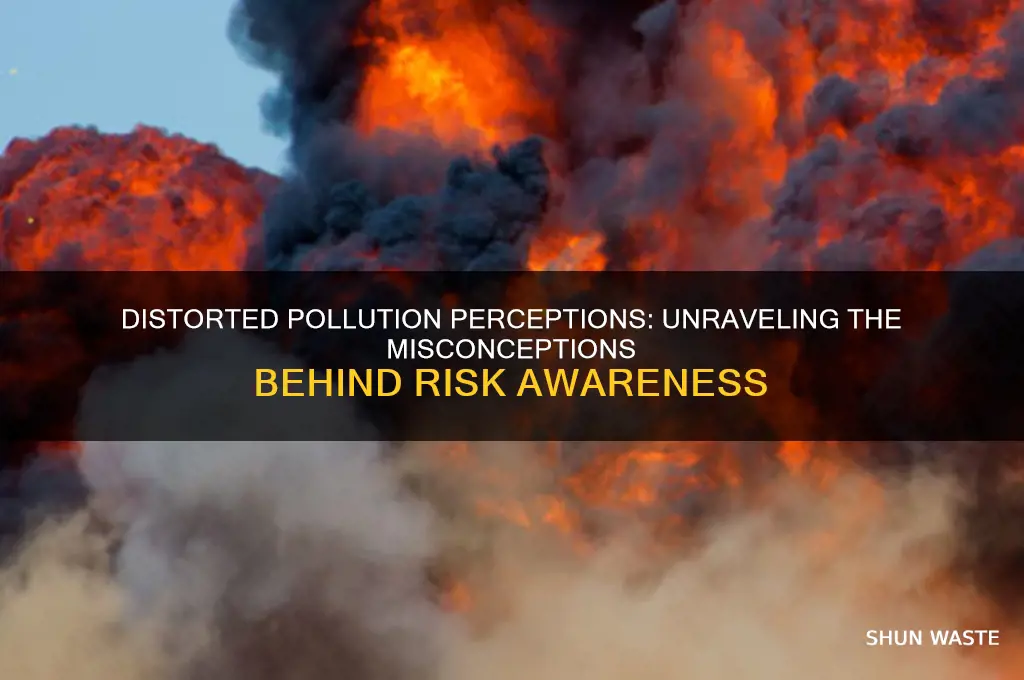 why are our perceptions of pollution risk so distorted