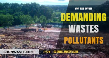 Oxygen-Demanding Wastes: How They Pollute Waterways and Ecosystems