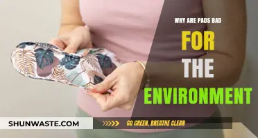The Hidden Environmental Impact of Disposable Menstrual Pads