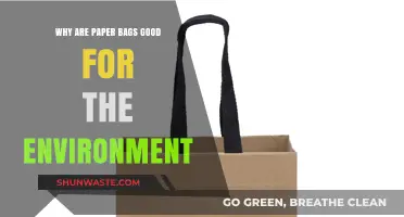 Eco-Friendly Choice: How Paper Bags Benefit Our Environment