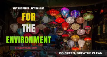 Paper Lanterns' Environmental Impact: Uncovering Their Hidden Ecological Footprint