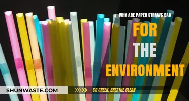 Paper Straws' Hidden Environmental Costs: Are They Truly Eco-Friendly?