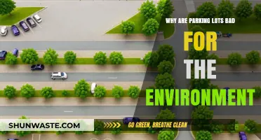 Parking Lots' Hidden Environmental Costs: Impacts and Sustainable Solutions