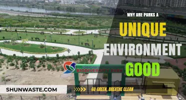 Parks: Nature's Urban Havens for Health, Community, and Biodiversity