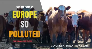 Europe's Pollution Crisis: Uncovering the Causes Behind Contaminated Regions
