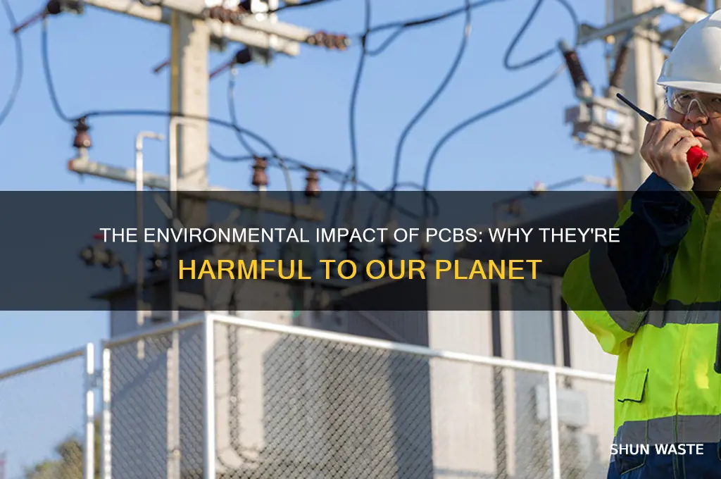 why are pcbs bad for the environment