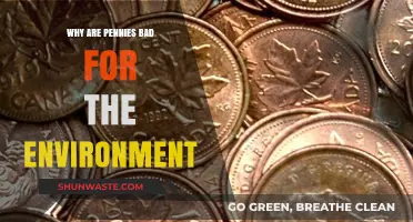 The Hidden Environmental Cost of Pennies: A Small Coin's Big Impact