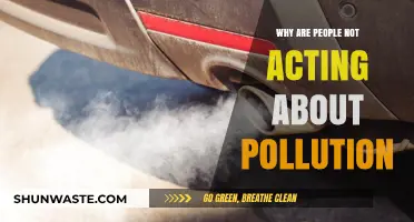 Silent Crisis: Why Society Ignores the Growing Pollution Emergency