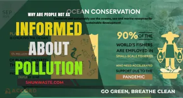 Unveiling the Gap: Why Pollution Awareness Remains Elusive in Society
