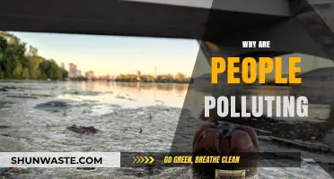 Unveiling the Root Causes of Human Pollution and Environmental Degradation