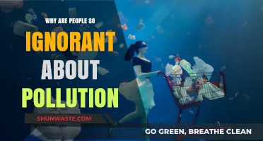 Unveiling the Blind Spot: Why Society Ignores Pollution's Alarming Reality