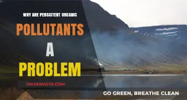 Persistent Organic Pollutants: Silent Threats to Ecosystems and Human Health