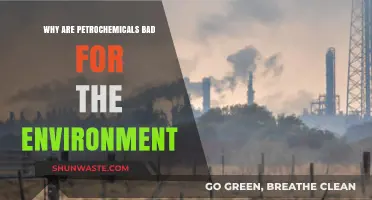 Petrochemicals' Environmental Impact: Pollution, Climate Change, and Ecosystem Destruction