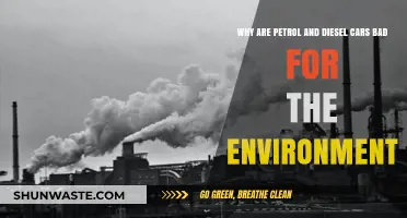 Environmental Impact: Why Petrol and Diesel Cars Harm Our Planet