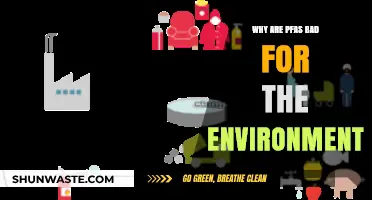 The Hidden Dangers of PFAS: Environmental Impact and Long-Term Harm