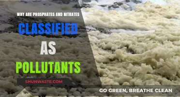 Phosphates and Nitrates: Why These Nutrients Are Classified as Pollutants