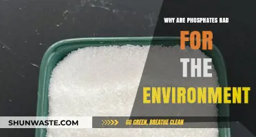 Phosphates' Environmental Impact: Uncovering Their Harmful Effects on Ecosystems