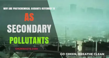 Photochemical Oxidants: Understanding Their Role as Secondary Pollutants