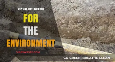 Pipelines' Environmental Impact: Risks, Pollution, and Ecosystem Destruction Explained