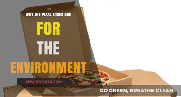 Pizza Boxes' Environmental Impact: Uncovering Their Hidden Ecological Footprint