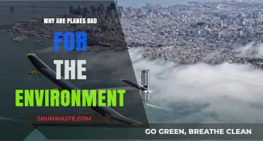 The Environmental Impact of Air Travel: Why Planes Harm Our Planet
