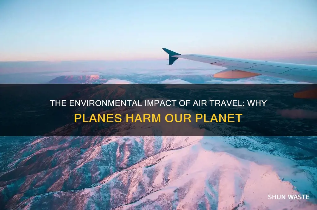 why are planes bad for the environment