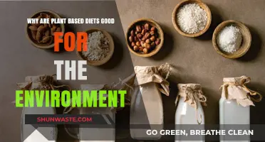 Plant-Based Diets: Sustainable Eating for a Greener, Healthier Planet