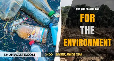 Plastic's Environmental Impact: Harmful Effects and Sustainable Alternatives Explained