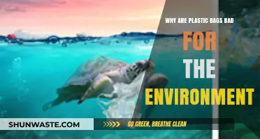 Plastic Bags' Environmental Impact: Harmful Effects and Sustainable Alternatives