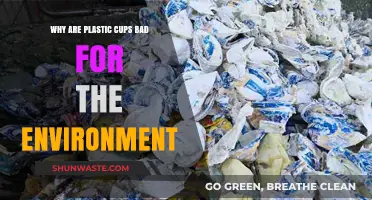 Plastic Cups' Environmental Impact: Harmful Effects and Sustainable Alternatives