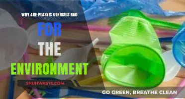 Plastic Utensils' Environmental Impact: Harmful Effects and Sustainable Alternatives