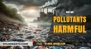 Understanding the Devastating Impact of Pollutants on Health and Environment