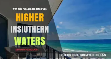 Southern Waters: Unraveling the High PCB Pollution Mystery
