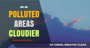 Polluted Skies: How Air Pollution Increases Cloud Cover in Urban Areas