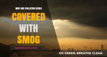 Smog's Grip: Unraveling the Causes of Urban Air Pollution