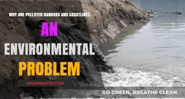Polluted Harbors and Coastlines: A Growing Environmental Crisis