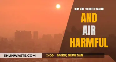 The Harmful Impact of Polluted Water and Air