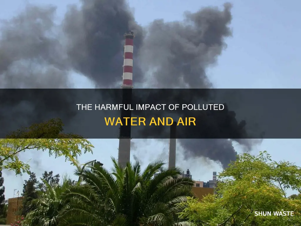 why are polluted water and air harmful