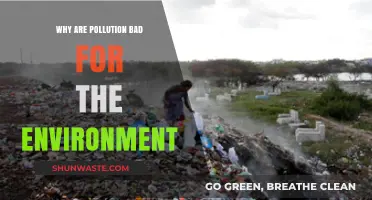 Pollution's Devastating Impact: How It Harms Our Environment and Future