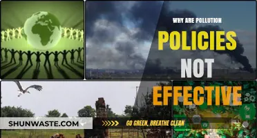 Why Pollution Policies Fail: Uncovering Ineffective Environmental Strategies