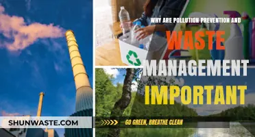 Sustainable Future: The Critical Role of Pollution Prevention and Waste Management