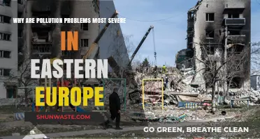 Eastern Europe's Pollution Crisis: Causes and Consequences Explained