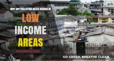 Pollution Inequality: Why Low-Income Areas Bear the Heaviest Burden